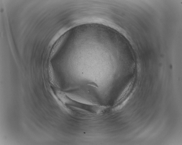 X0000070411521200606231815