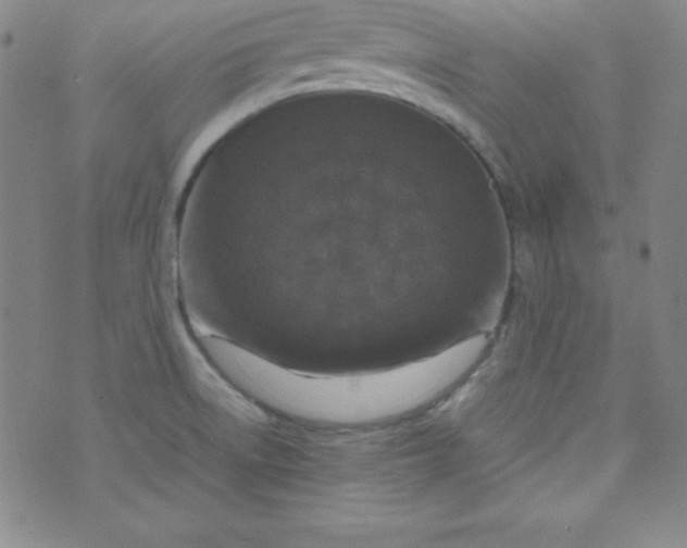 X0000070411522200606231815