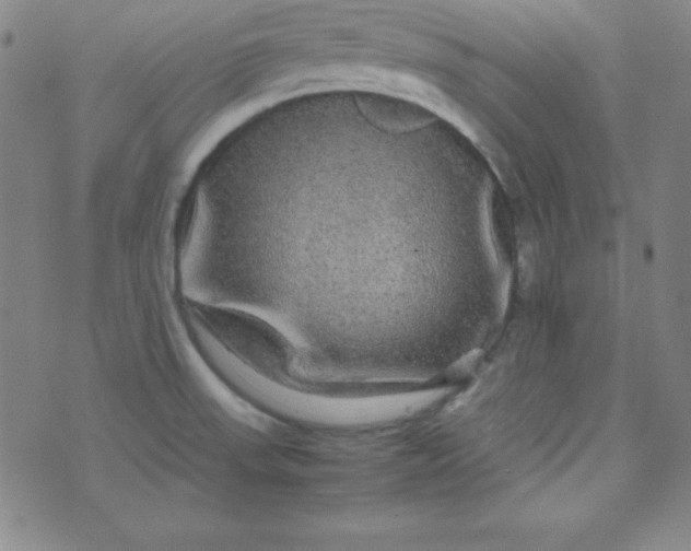 X0000070411523200606231815