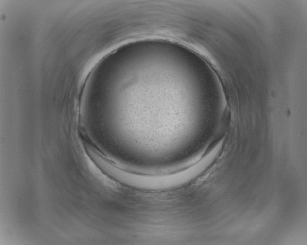 X0000070411524200606231815