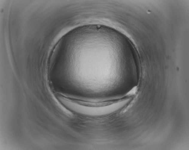 X0000070411525200606231815