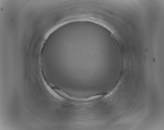 X0000070411526200606231815