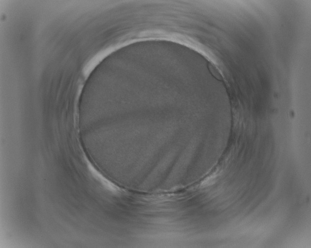 X0000070411527200606231815