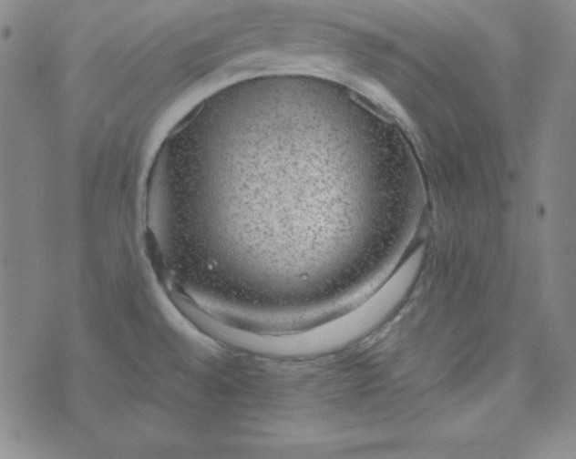 X0000070411528200606231815