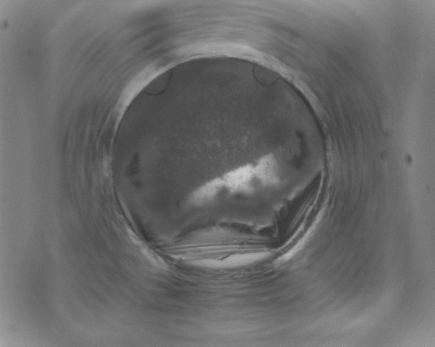 X0000070411529200606231815