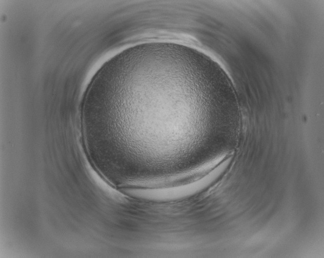 X0000070411531200606231815