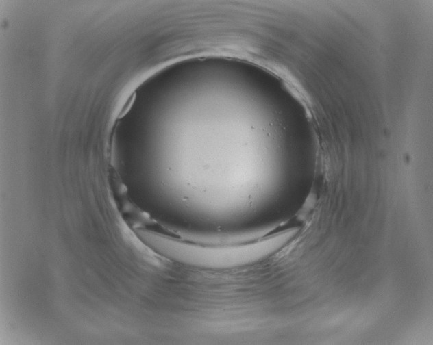 X0000070411532200606231815