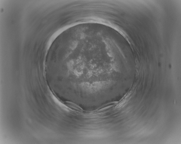 X0000070411535200606231815