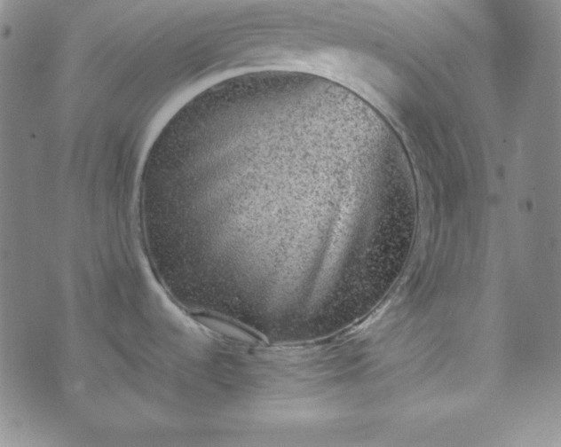 X0000070411536200606231815