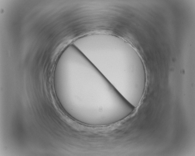 X0000070410001200606302048