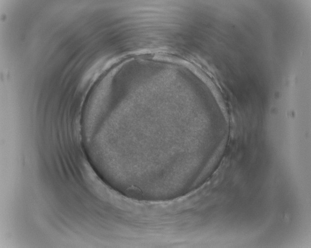 X0000070410002200606302048