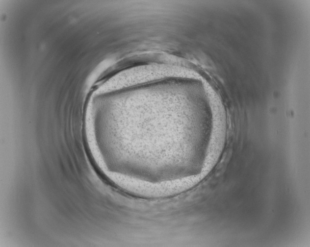 X0000070410003200606302048