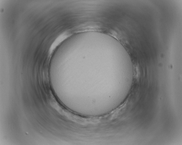 X0000070410004200606302048