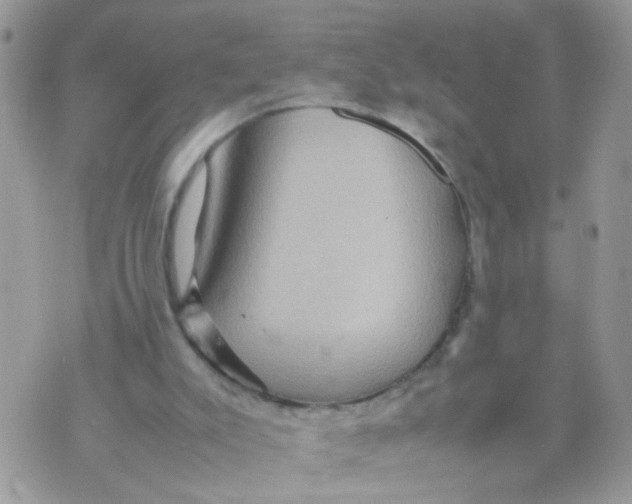 X0000070410007200606302048