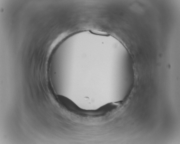 X0000070410008200606302048