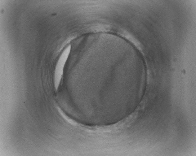 X0000070410009200606302048