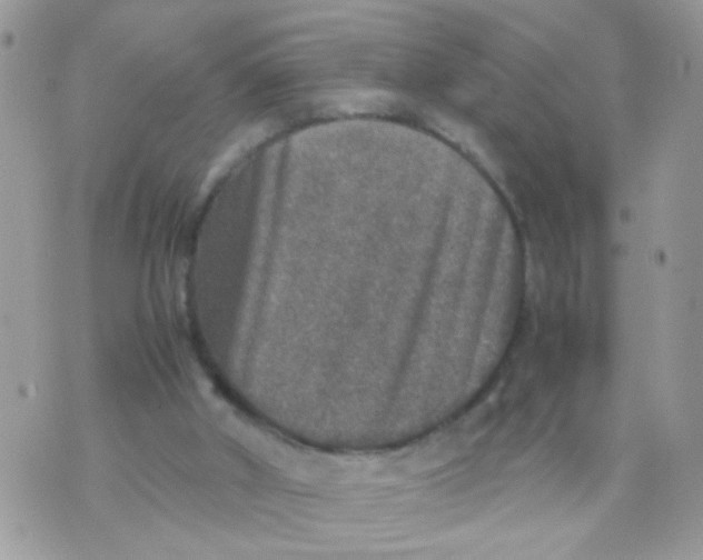 X0000070410010200606302048