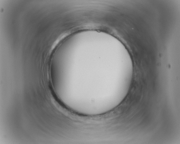 X0000070410011200606302048