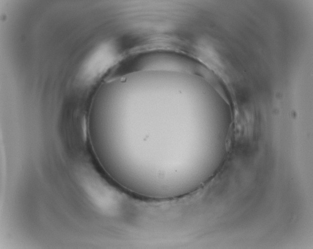 X0000070410013200606302048