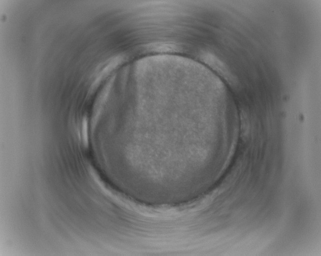 X0000070410014200606302048