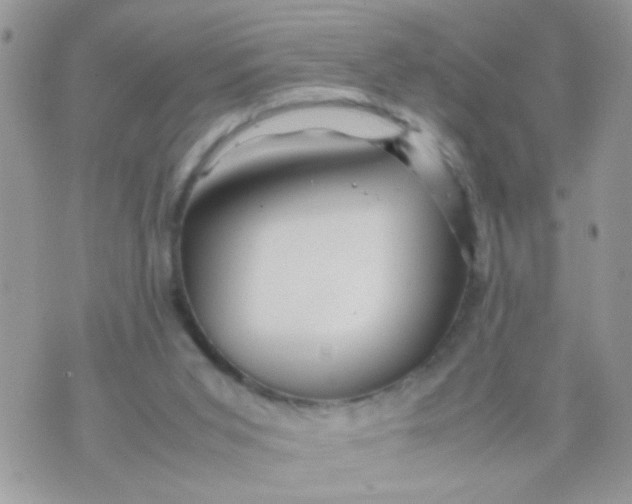 X0000070410015200606302048