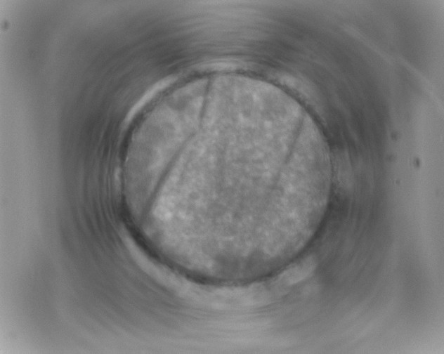 X0000070410016200606302047