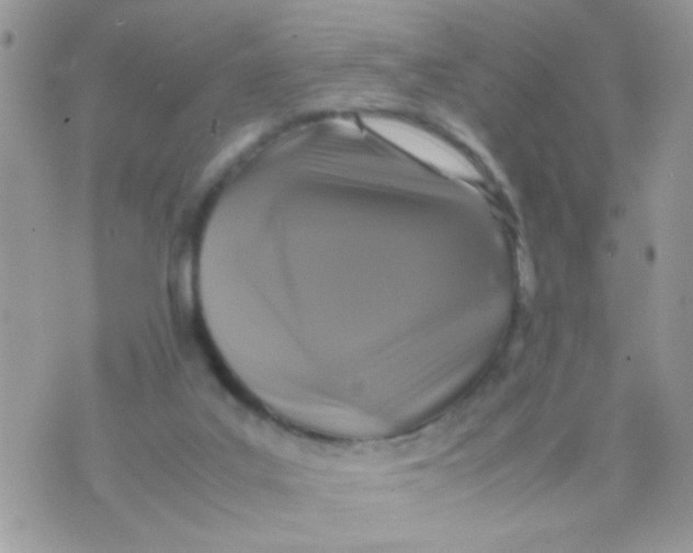 X0000070410019200606302047