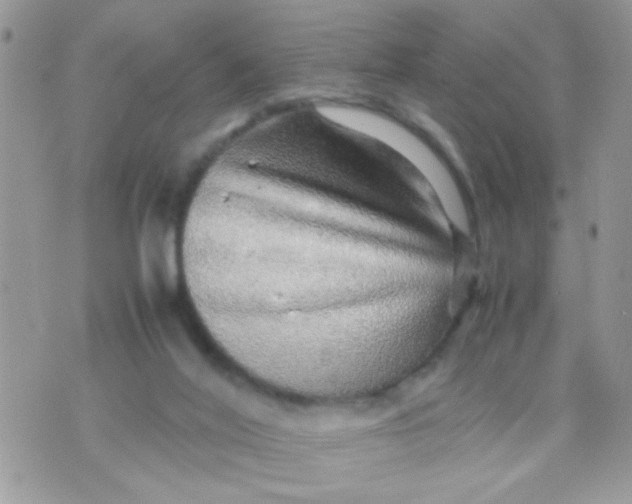 X0000070410020200606302047