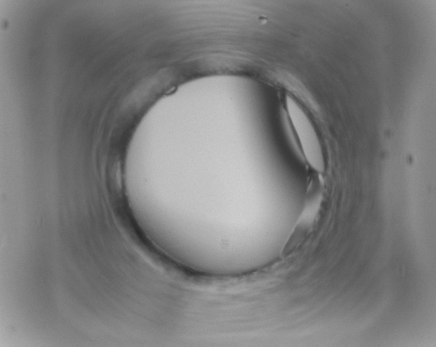 X0000070410021200606302047