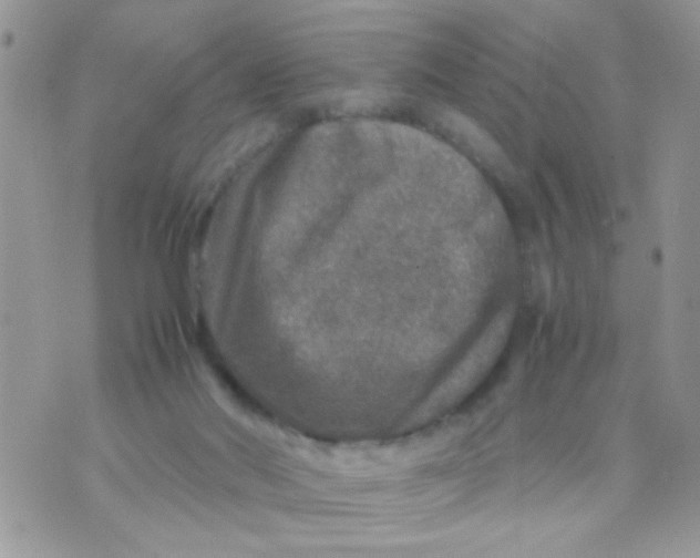 X0000070410022200606302047