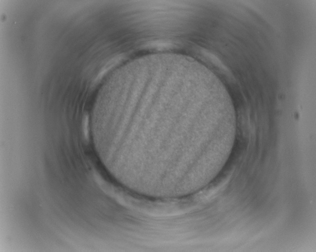 X0000070410024200606302047