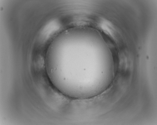 X0000070410025200606302047