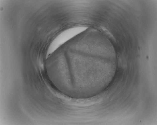 X0000070410026200606302047