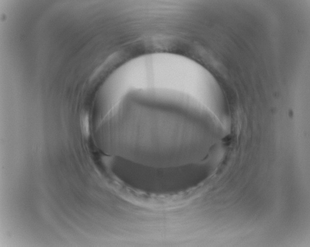 X0000070410027200606302047