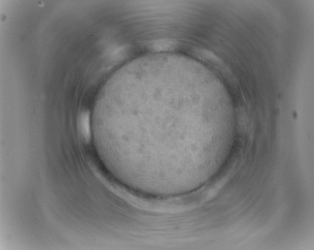 X0000070410028200606302047