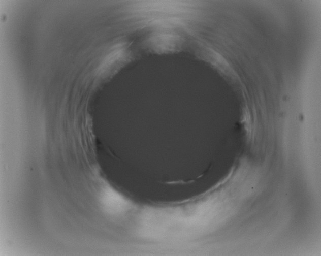 X0000070410029200606302047