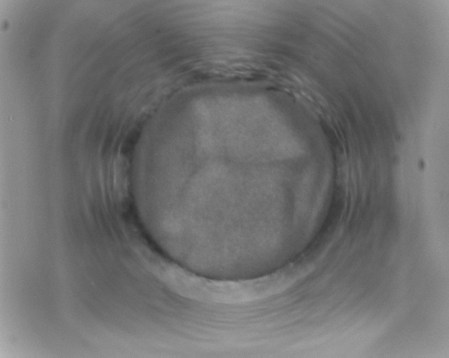 X0000070410030200606302047