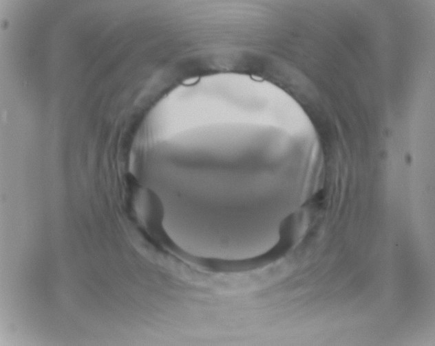 X0000070410031200606302047