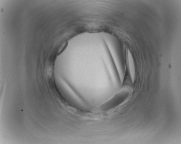 X0000070410033200606302047