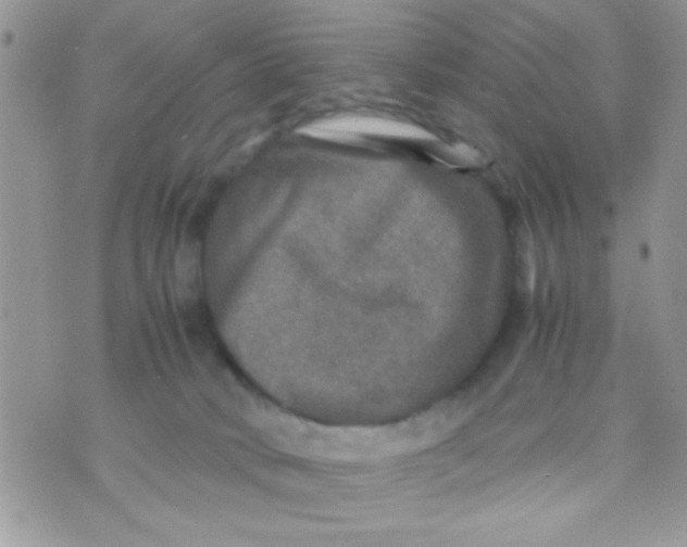 X0000070410034200606302047