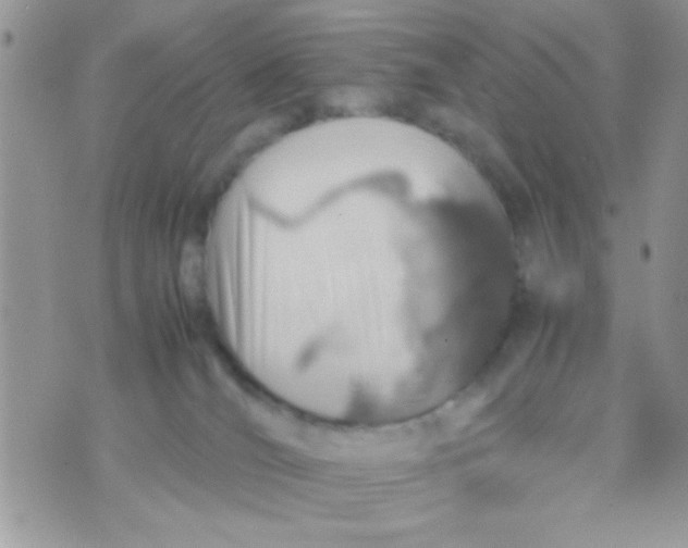 X0000070410036200606302047