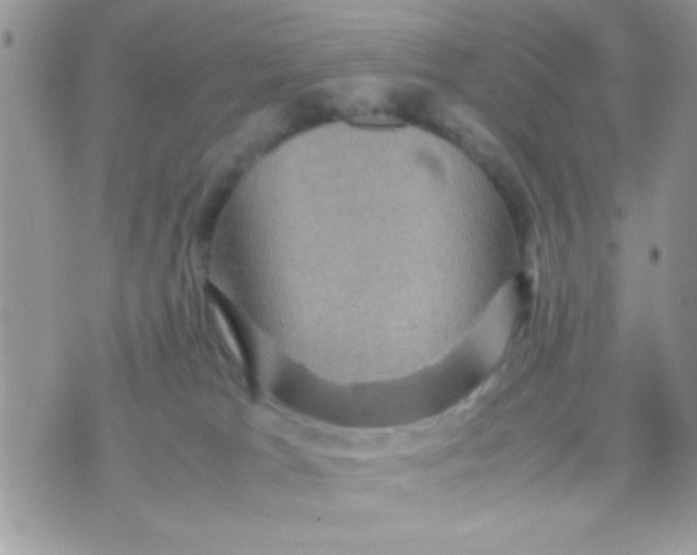 X0000070410037200606302047