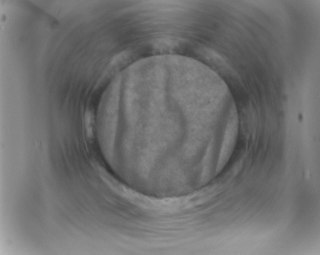 X0000070410038200606302047