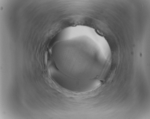 X0000070410039200606302047