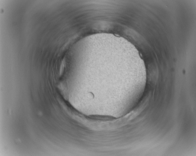 X0000070410040200606302047