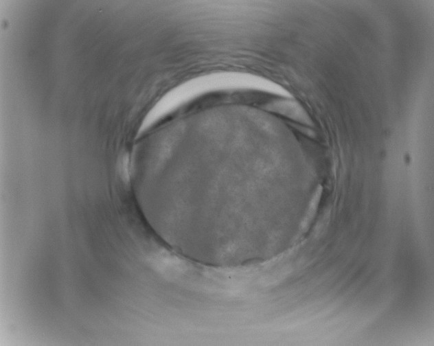 X0000070410041200606302047