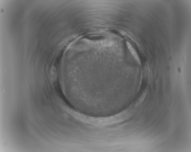 X0000070410043200606302047