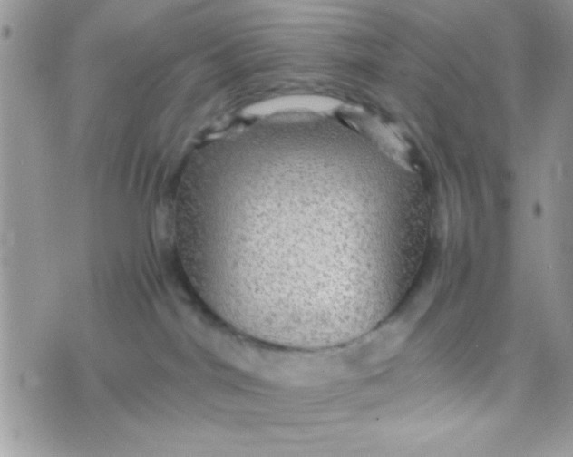 X0000070410044200606302047