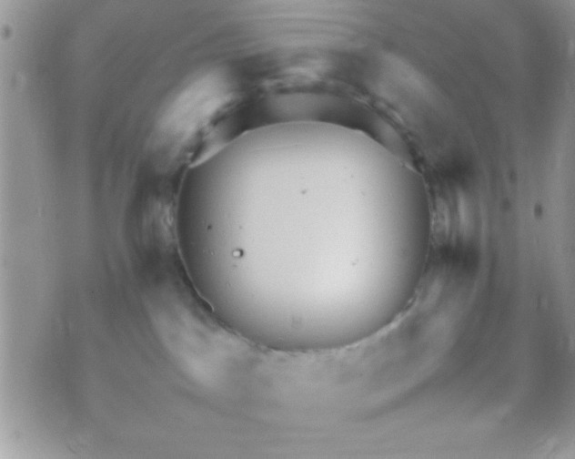 X0000070410045200606302047