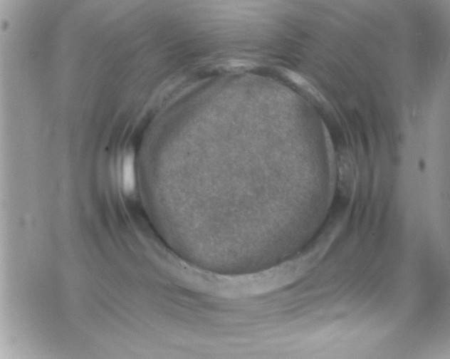 X0000070410046200606302047